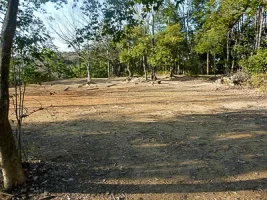 yamazaki-castle-12.webp