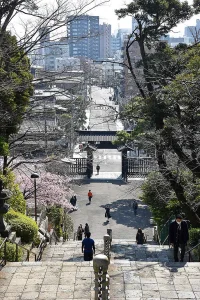 ikegami-honmonji-07.webp