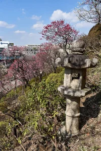 ikegami-baien-03.webp