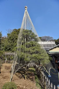 ikegami-baien-08.webp