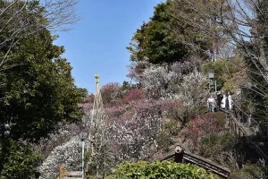 ikegami-baien-09.webp