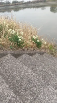 16470455865048551367973398002143.webp