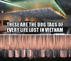 dtags.webp