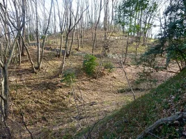 katakura-castle-01.webp