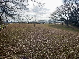 katakura-castle-09.webp