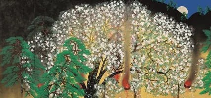 yo-sakura.webp