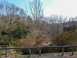 hirayama-castle-site-park-06.webp