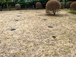 yamanaka-castle-16.webp