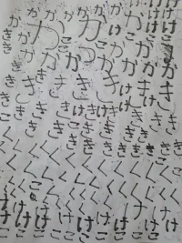 16541263856491562142371055035886.webp