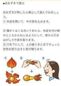 hoozuki.webp hoozuki.webp