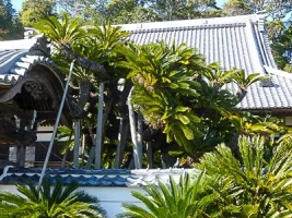 koyama-castle-04.webp