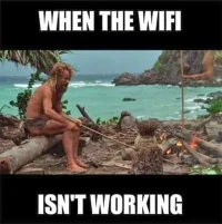 wfd.webp