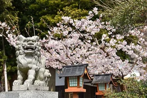 Seto Shrine (瀬戸神社) Seto Shrine (瀬戸神社)