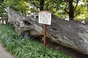 Seto Shrine (瀬戸神社) Seto Shrine (瀬戸神社)