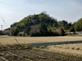 ishiwaki-castle-01.webp