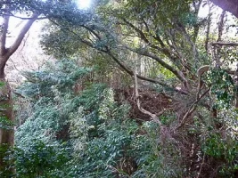 hanazawa-castle-10.webp
