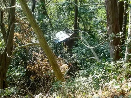 mochifune-castle-08.webp