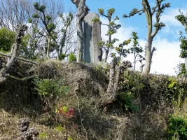 moriyama-castle-01.webp