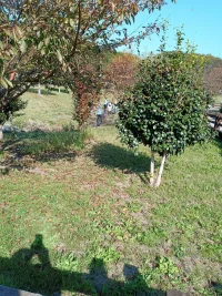 IMG_20221028_135901.webp