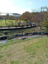 IMG_20221028_140118.webp