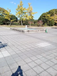 IMG_20221028_133523.webp