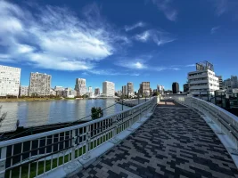 Ōshimagawasuimon Terrace Renraku Bridge