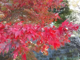 kunaicho4.webp