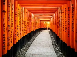 shinto-cover.webp