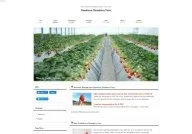 Kawatsura Strawberry Farm