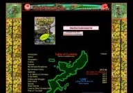 Mick's ClickOkinawa.com