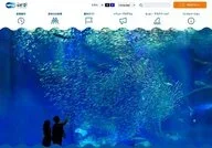 Aqua World