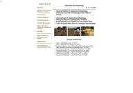 Japanese Archaeology