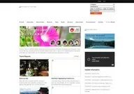 Fuji-Hakone-Izu Travel Guide