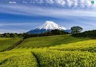 Explore Shizuoka