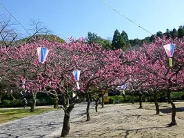 komakiyama-castle-07.webp