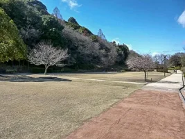 komakiyama-castle-09.webp