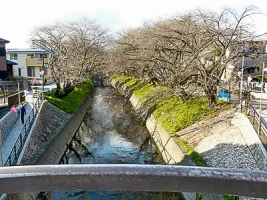 iwakura-castle-07.webp