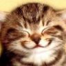 Chabichou