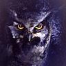 little owl