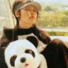thePANDA