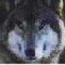 lonewolfwfk