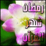 Khateer
