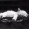 ivan_150289