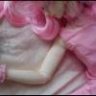 Wendy Alem Lkr