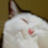 yau