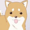 Shiba-San