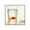 o0fish0o