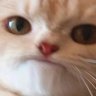zhean