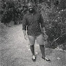 Islanddemio