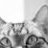 Aelna